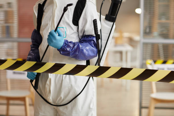 Professional Odor Removal technician working in Crystal, MI