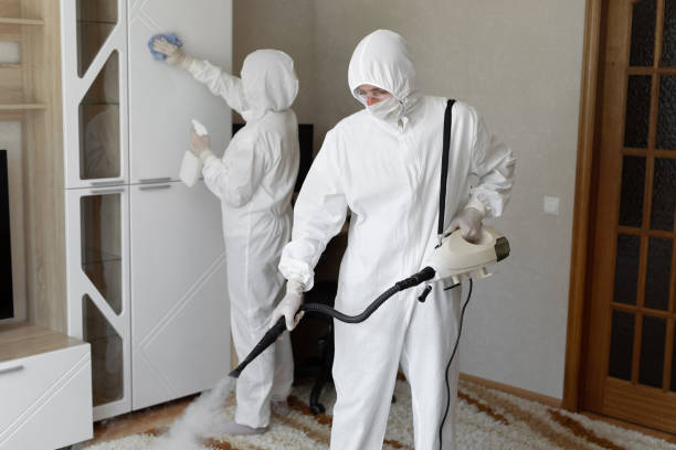 24/7 Emergency Odor Removal experts in Crystal, MI
